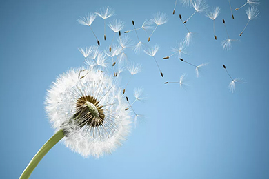 91天媒传媒mv在线观看