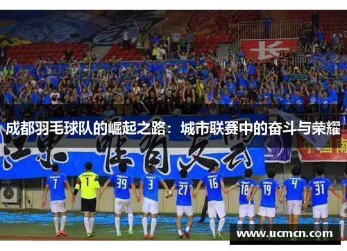 成都羽毛球队的崛起之路：城市联赛中的奋斗与荣耀